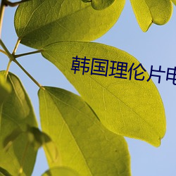韓國理倫片電影