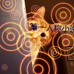 第(第)一人(人)称小说