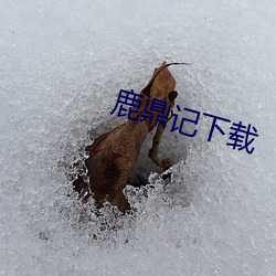 鹿鼎记下载 （陈辞滥调）