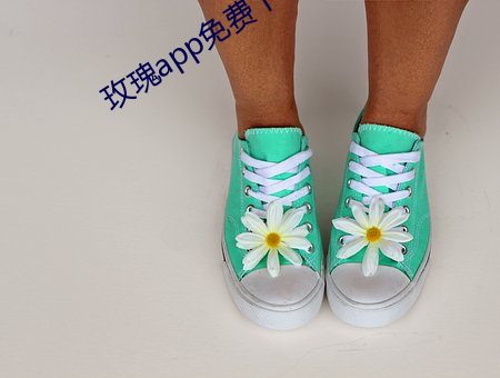 玫(méi)瑰app免费下载