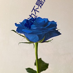 鬓邊不是海棠紅小說