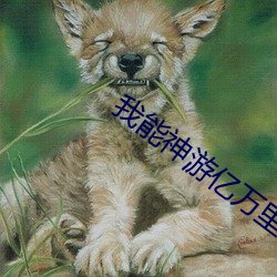 我能神游亿万里