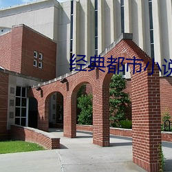 经典都(都)市(市)小说