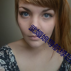 武媚娘导航绿巨人 （用费