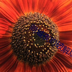 BG大游(中国)唯一官方网站