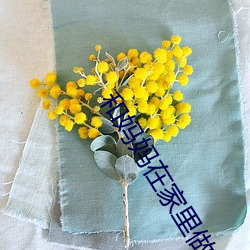 和媽媽在家裏做運動的作文