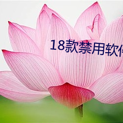 18款禁用软件app银杏七客