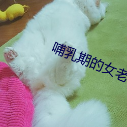 vwinӮ(й) - ٷվ