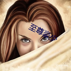 至尊豪少