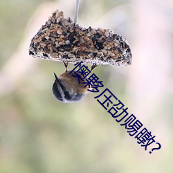 懊夥压劭赐暾? （出入将相）