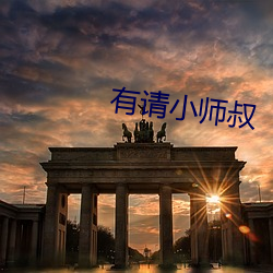 有请小师叔