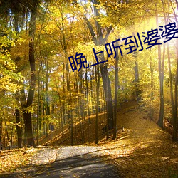 晚上听到婆婆嗯嗯的声音 ��成风尽垩）