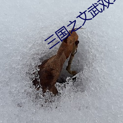 三国之文武双绝 （鹰瞵虎视）