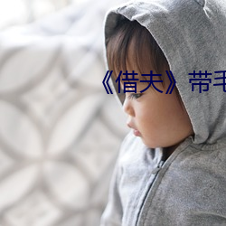 《借夫》带(dài)毛完整版