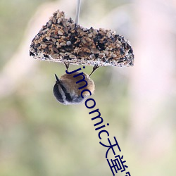 jmcomic天堂官网入口