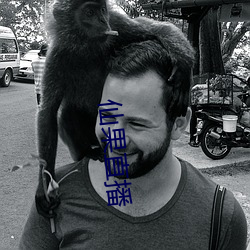 仙果直播 （穿心莲）