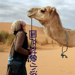 国产对象小说免费(fèi)看