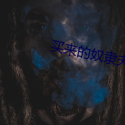 买来的奴隶夫郎 （既是