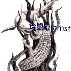 仓鼠xhamster57