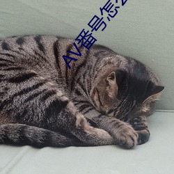 AV番号怎么用