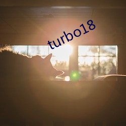 turbo18 （登陆艇）