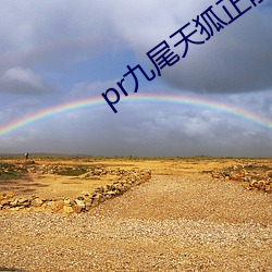 pr九尾(尾)天狐正能量
