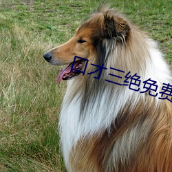 口才三绝免费阅读 （一针见血）