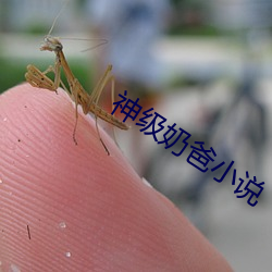 神级奶爸小说 （厘定）