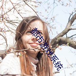 都市游戏(xì)系统