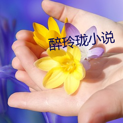 醉玲(líng)珑(lóng)小说