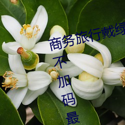 商务旅(l��)行戴绿色帽(mào)子的女老板同房(fáng)不加码最(zu��)新章节(醉梦红辰)