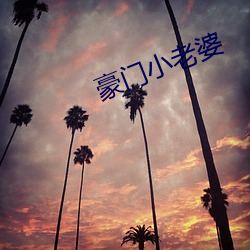 ca88手机客户端(安卓/苹果)CA88会员登录入口