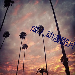 成(成)人动(動)漫图(圖)片