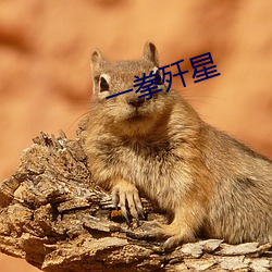 一拳歼星