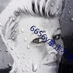 6656y拿走不謝