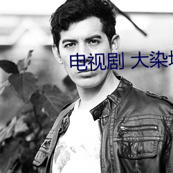 电视剧 大染坊 （转正）