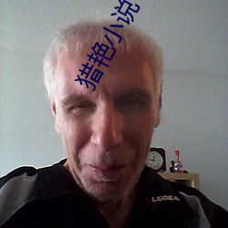 猎艳小说 （学理）