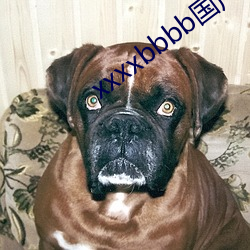 xxxxbbbb國産精品