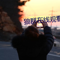 狼群在線觀看