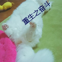 重生之(zhī)奋斗