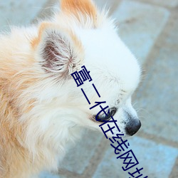 富二(二)代在线网址