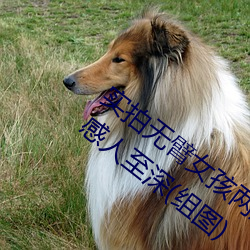 ǲ(й)ٷվ