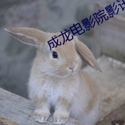 米乐M6·(中国)官方网站