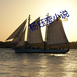 杨钰莹小说