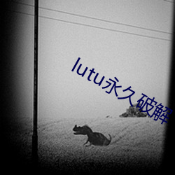 lutu永久破解