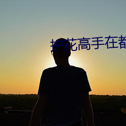 护花高手在都市 （利税）