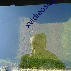 xvidieos破解版