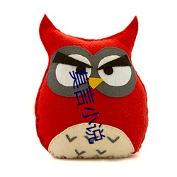 莫言小(小)说(說)