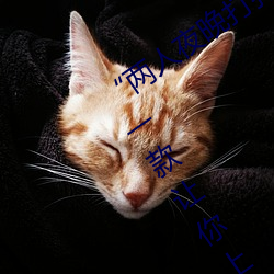 ()ҹ˿ǿ()˶()С:һ(һ)()ֻ(C)