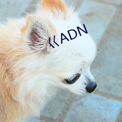 巜ADN